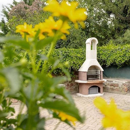 Ferienhaus Am Bergeshang بلانكنبرغ المظهر الخارجي الصورة