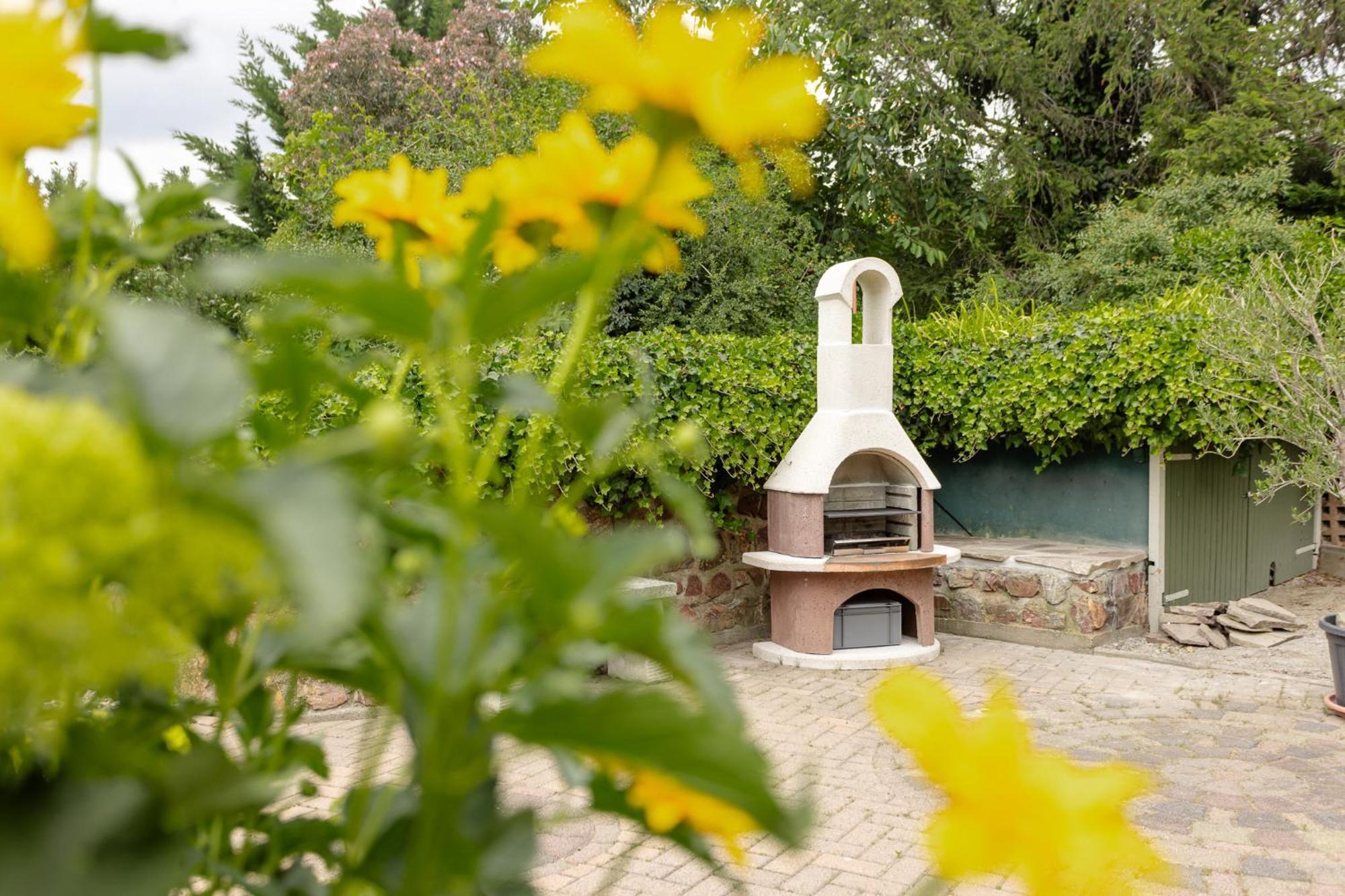 Ferienhaus Am Bergeshang بلانكنبرغ المظهر الخارجي الصورة